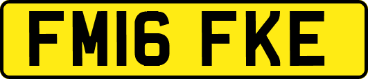 FM16FKE