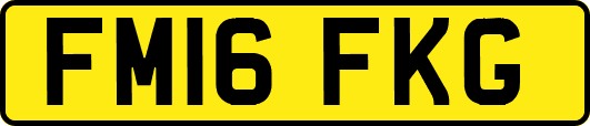 FM16FKG