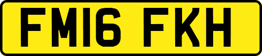 FM16FKH