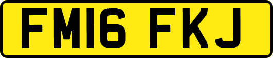 FM16FKJ