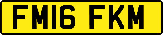 FM16FKM