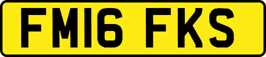 FM16FKS