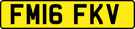 FM16FKV