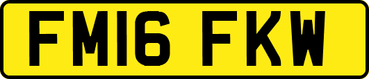 FM16FKW