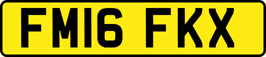 FM16FKX
