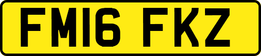 FM16FKZ