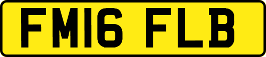 FM16FLB