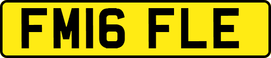 FM16FLE
