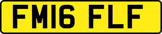 FM16FLF