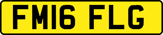 FM16FLG