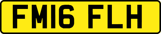 FM16FLH