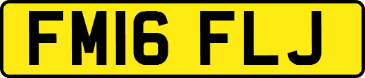 FM16FLJ