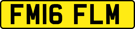 FM16FLM
