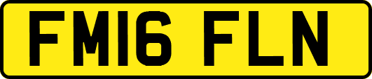 FM16FLN