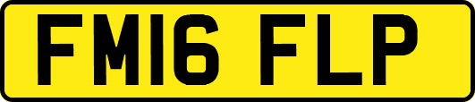 FM16FLP
