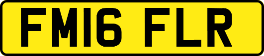 FM16FLR