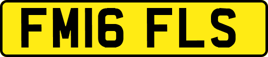FM16FLS