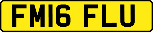 FM16FLU