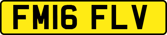 FM16FLV