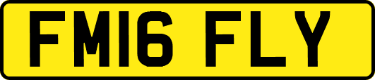 FM16FLY