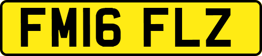 FM16FLZ