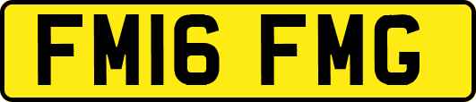 FM16FMG