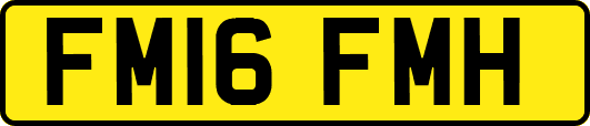 FM16FMH