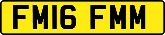 FM16FMM