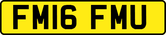 FM16FMU