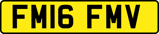 FM16FMV