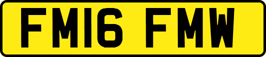 FM16FMW