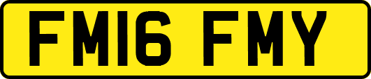 FM16FMY