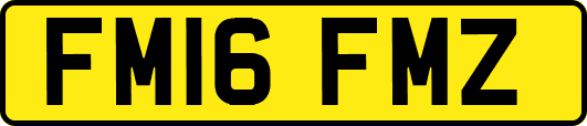 FM16FMZ