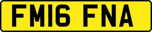 FM16FNA