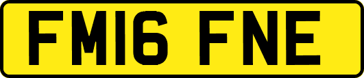 FM16FNE