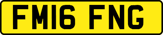 FM16FNG