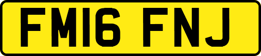 FM16FNJ