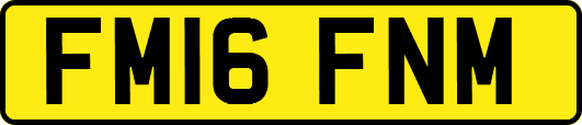 FM16FNM