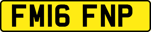 FM16FNP