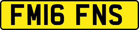 FM16FNS