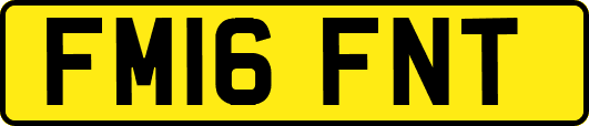 FM16FNT