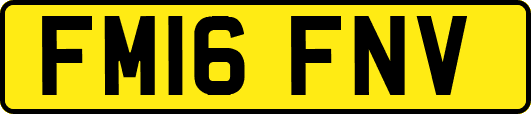 FM16FNV