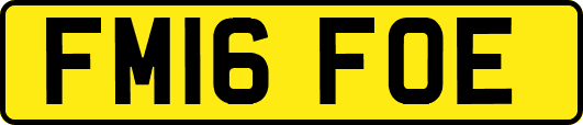 FM16FOE