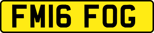 FM16FOG