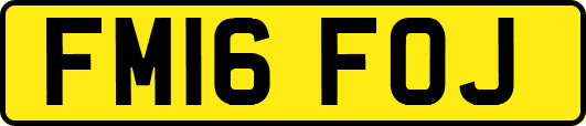 FM16FOJ