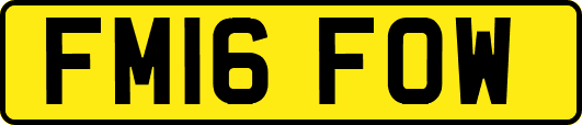 FM16FOW