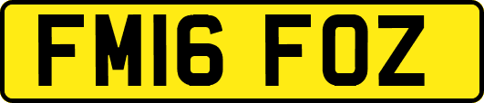 FM16FOZ