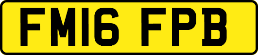 FM16FPB