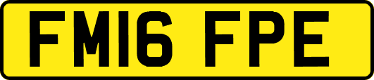 FM16FPE