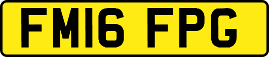 FM16FPG